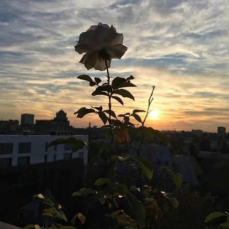 Sunsetsky Terrace - Dorobanti Ultracentral Lejlighed
